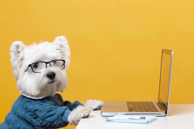 Vantagens de oferecer plano de saúde pet em clínica veterinária